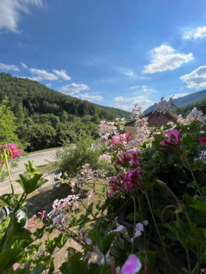 Mokra Gora Central Apartments